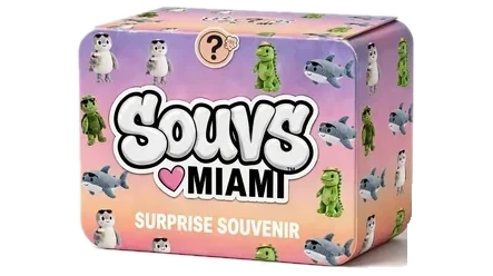 Mystery Souvs box