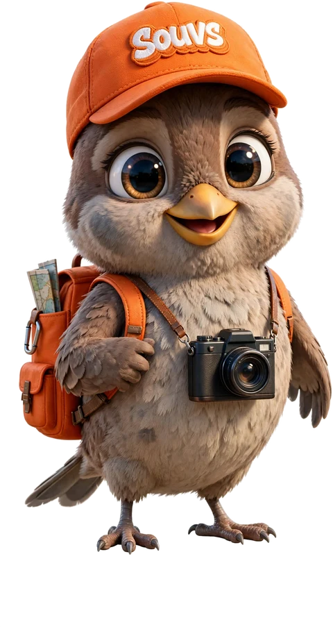 Souvs, your city guide